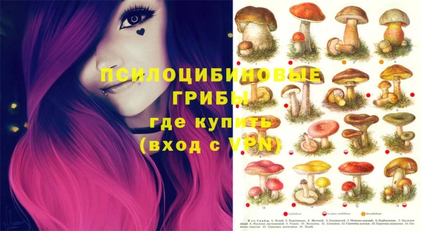 дурь Тайга