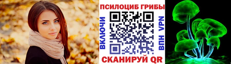 кракен ССЫЛКА  Анива  Галлюциногенные грибы мицелий 